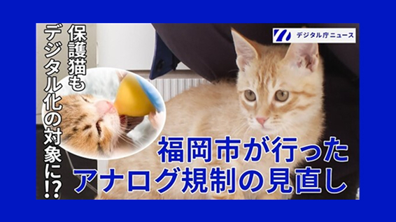 中央に保護猫の画像、向かって左側に丸い罫線で囲われた哺乳瓶に口を付ける子猫の画像、向かって右側に「保護猫もデジタル化の対象に⁉」のテキストが入った画像